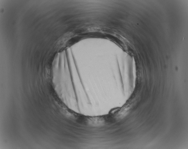 X0000078280281200612011752