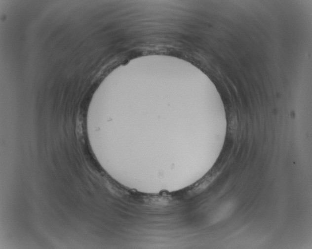 X0000078280282200612011752