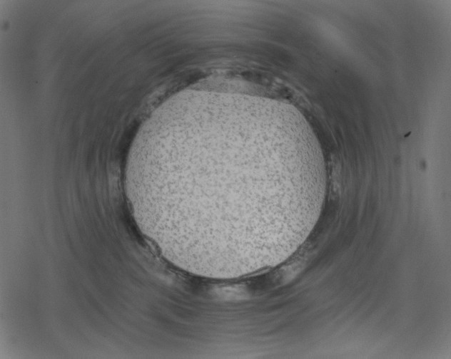 X0000078280283200612011752