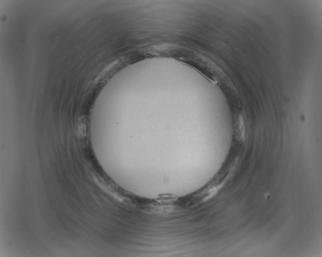 X0000078280284200612011752