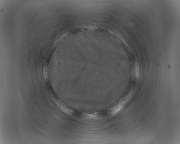 X0000078280285200612011752