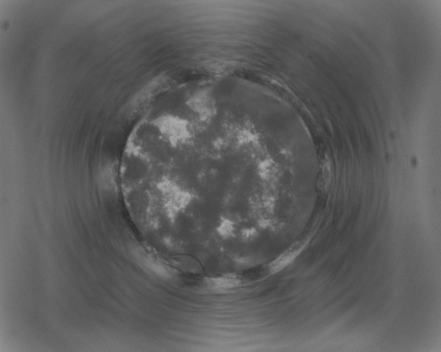 X0000078280286200612011752