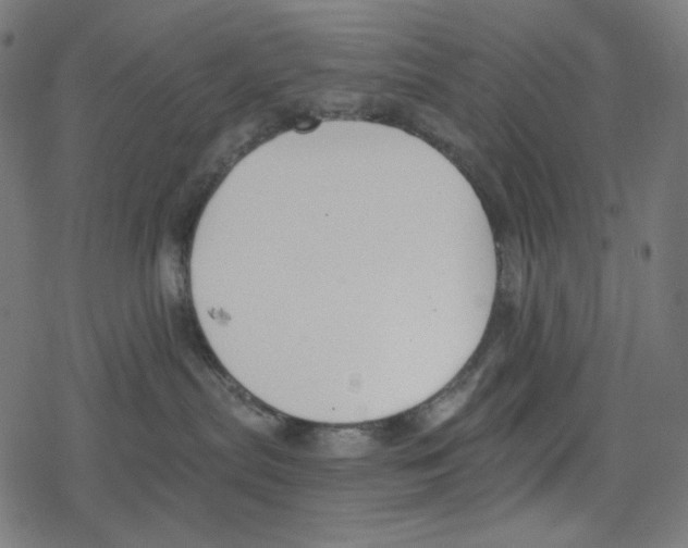 X0000078280287200612011752