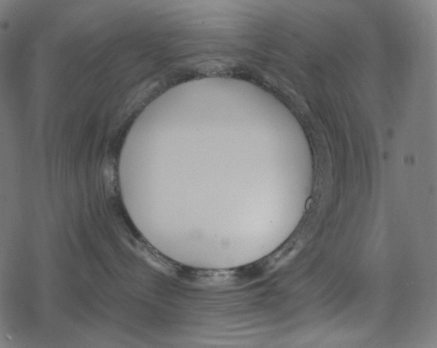 X0000078280288200612011752