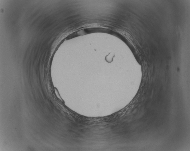 X0000078280289200612011751