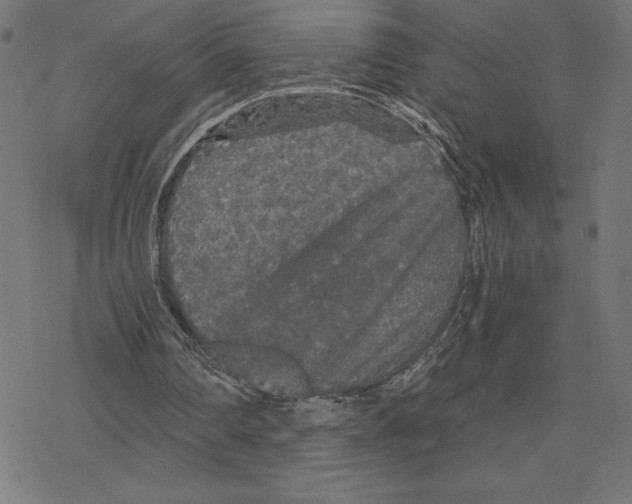 X0000078280290200612011751