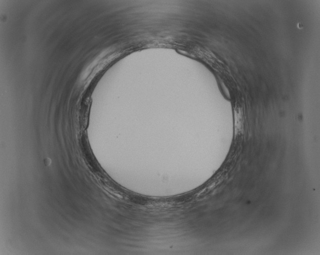 X0000078280291200612011751