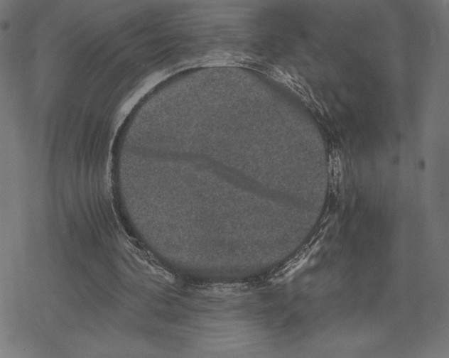 X0000078280292200612011751