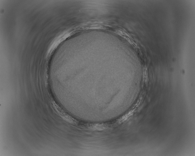 X0000078280293200612011751