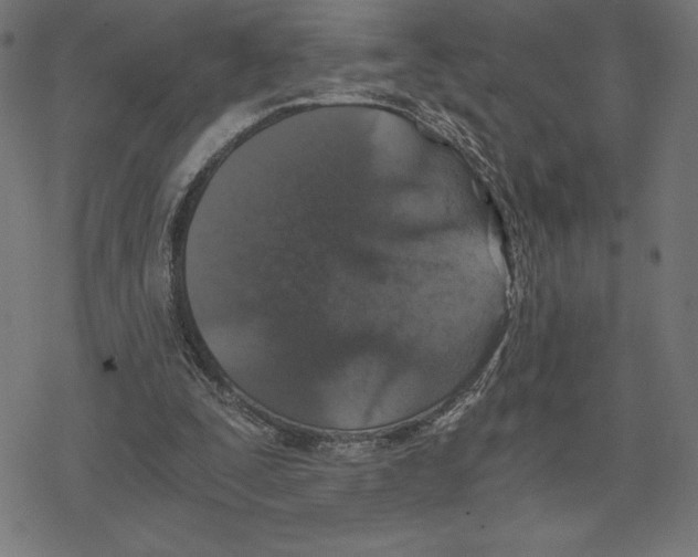 X0000078280295200612011751