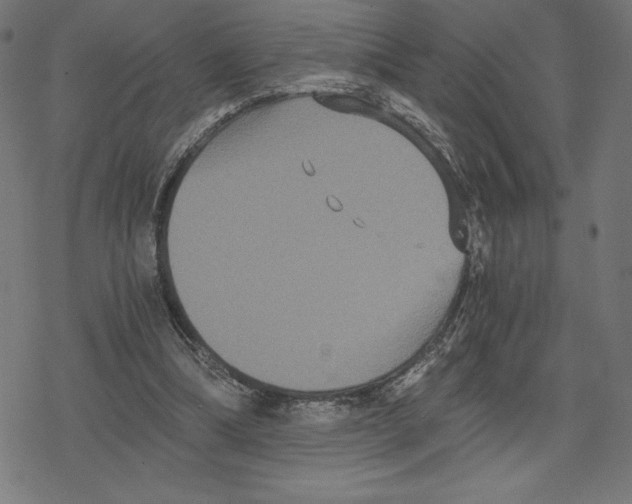 X0000078280298200612011751