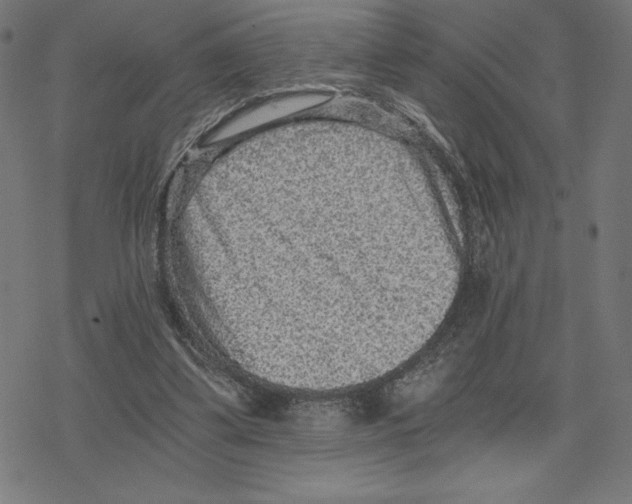 X0000078280299200612011751