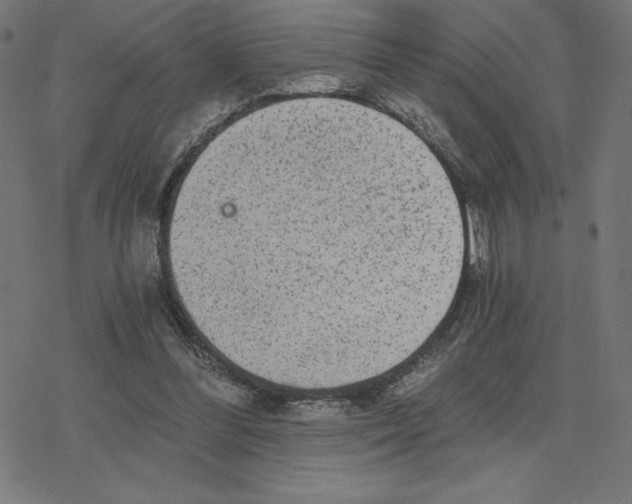 X0000078280300200612011751