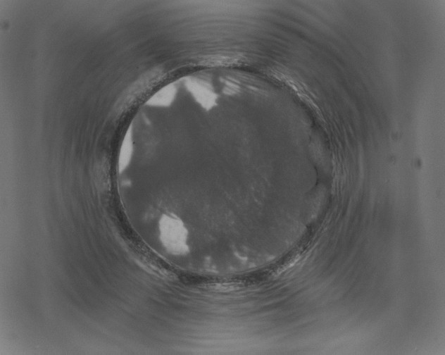 X0000078280303200612011751