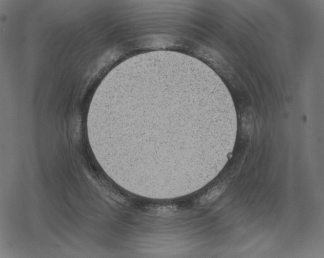 X0000078280304200612011751