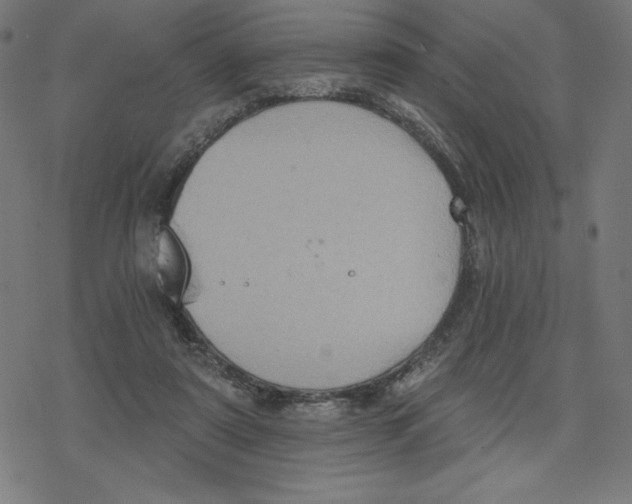 X0000078280307200612011751