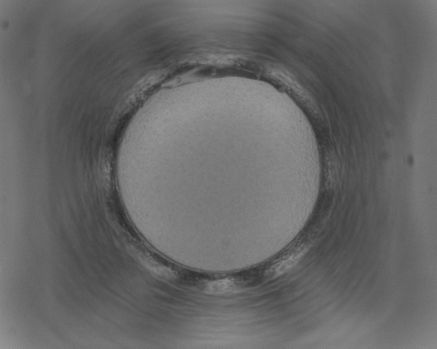 X0000078280309200612011751