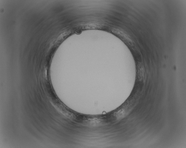 X0000078280310200612011751