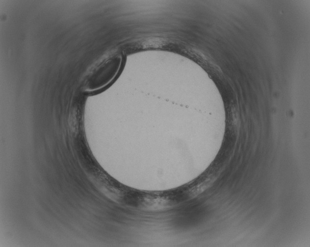 X0000078280311200612011751