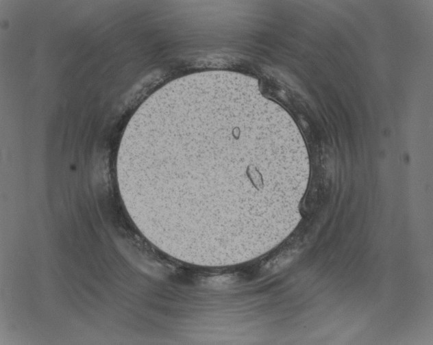 X0000078280312200612011751