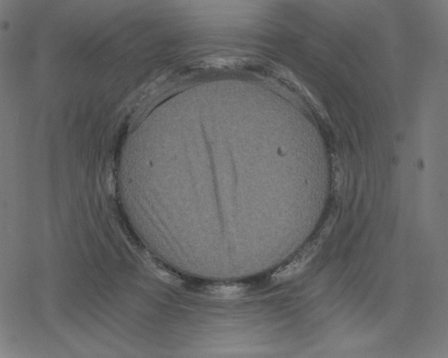 X0000078280313200612011751