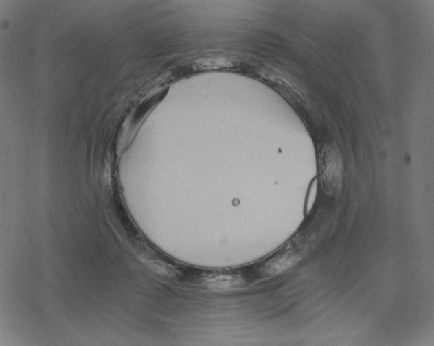 X0000078280315200612011751