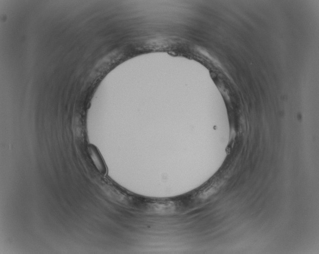 X0000078280317200612011751