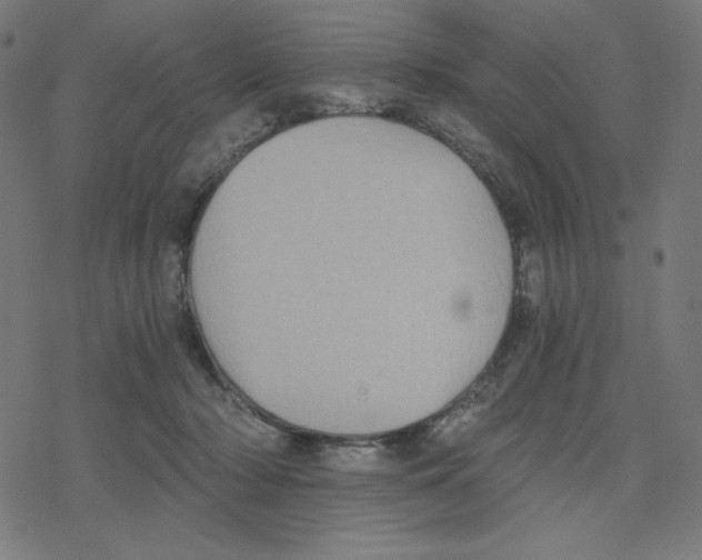 X0000078280318200612011750