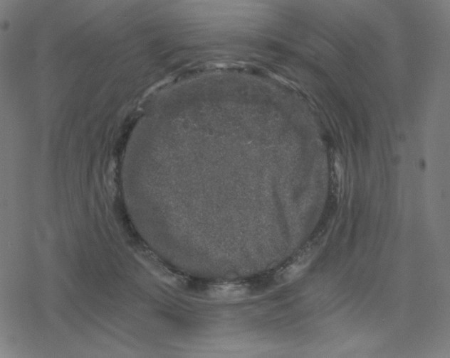 X0000078280319200612011750