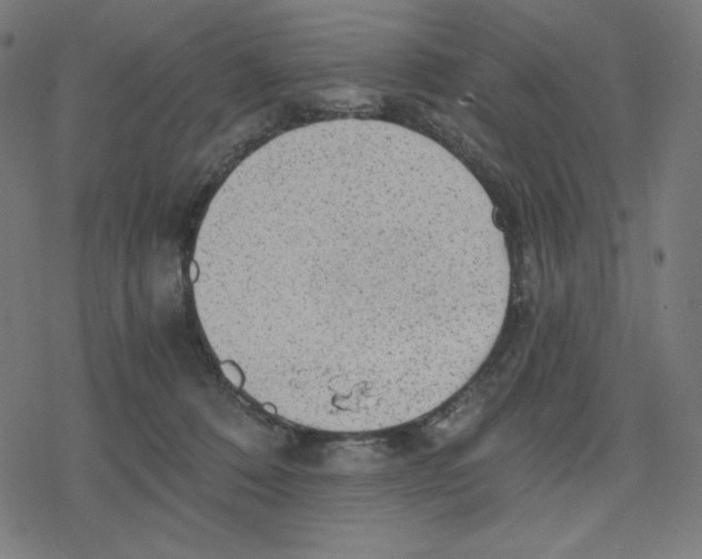 X0000078280320200612011750