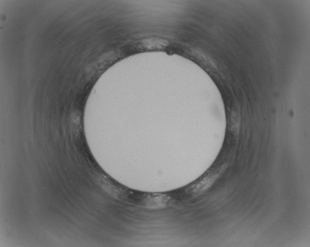 X0000078280321200612011750