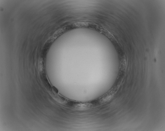 X0000078280323200612011750