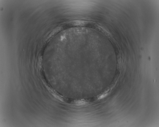 X0000078280325200612011750