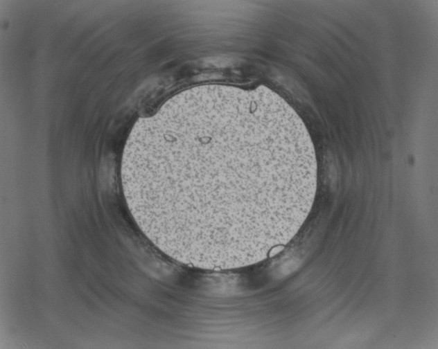 X0000078280328200612011750