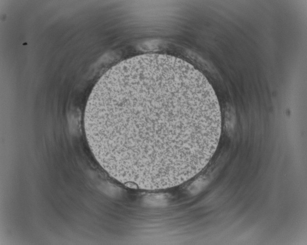 X0000078280332200612011750