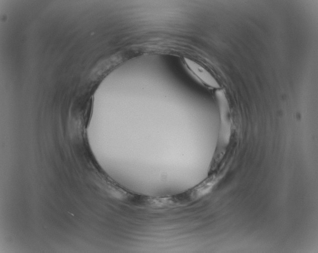 X0000078280333200612011750