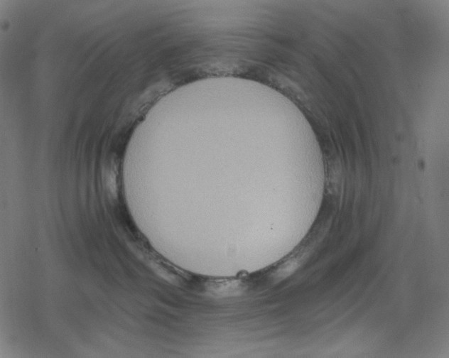 X0000078280334200612011750