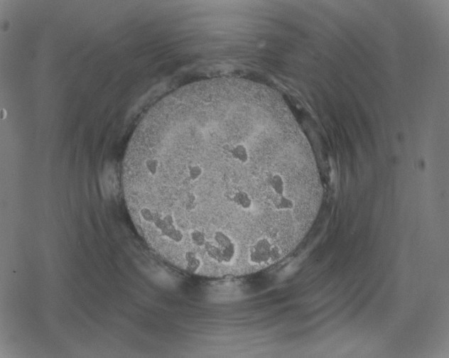 X0000078280335200612011750