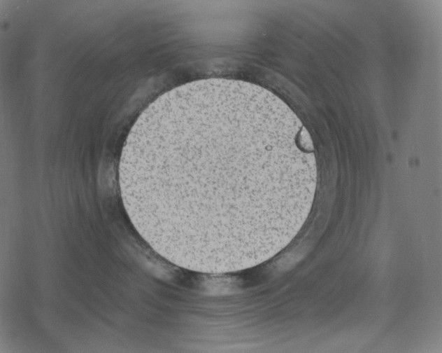 X0000078280336200612011750