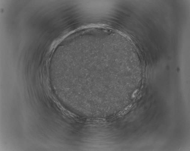 X0000078280337200612011749