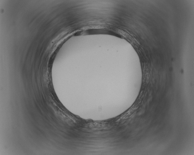 X0000078280338200612011749