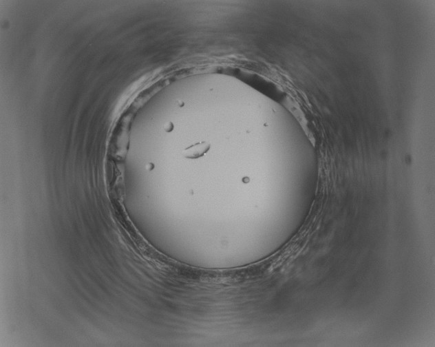 X0000078280340200612011749