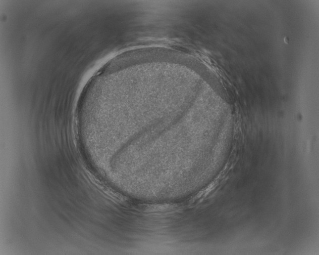 X0000078280342200612011750