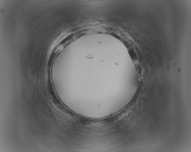 X0000078280344200612011750