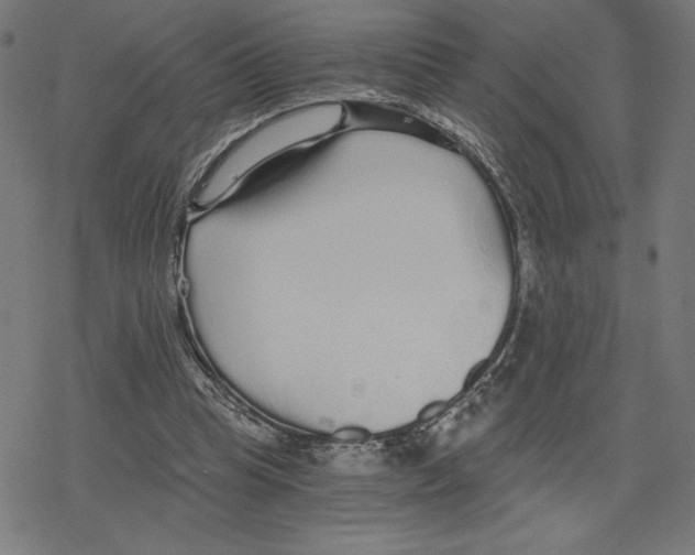 X0000078280345200612011750