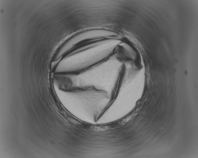 X0000078280346200612011750