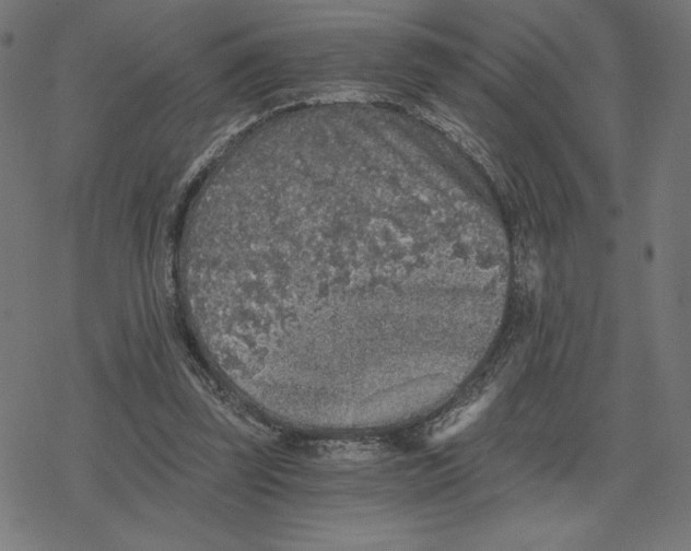 X0000078280347200612011750