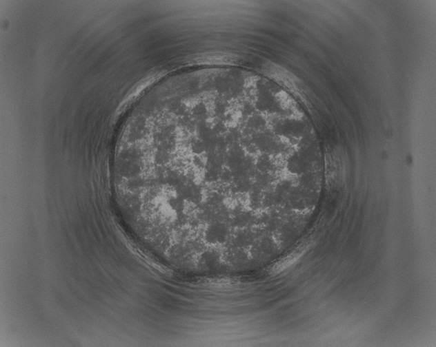 X0000078280349200612011750