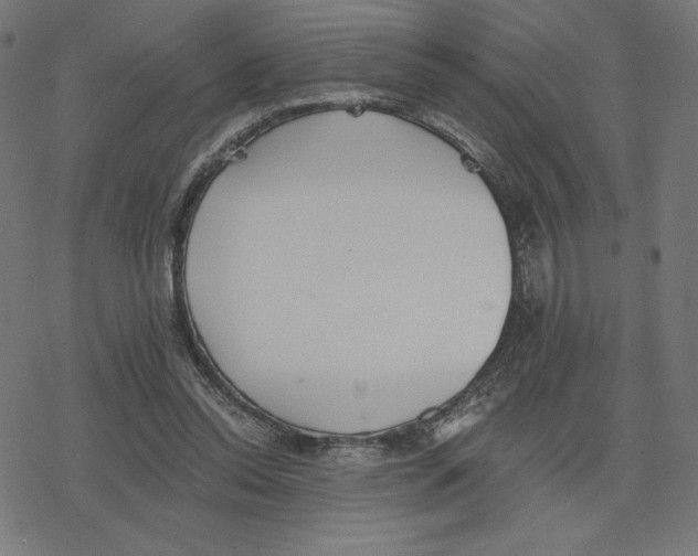 X0000078280350200612011750