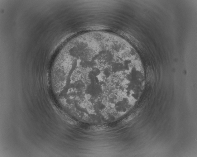 X0000078280351200612011750